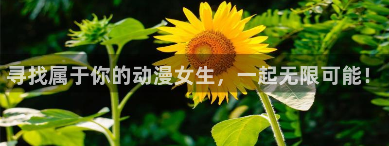 火狼动漫网动漫：寻找属于你的动漫女生，一起无限可能！