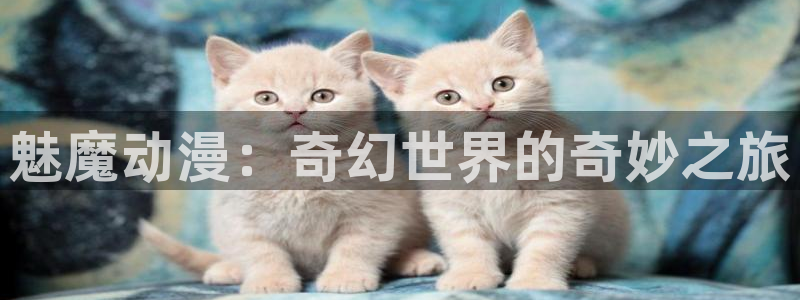 火狼影院动漫：魅魔动漫：奇幻世界的奇妙之旅