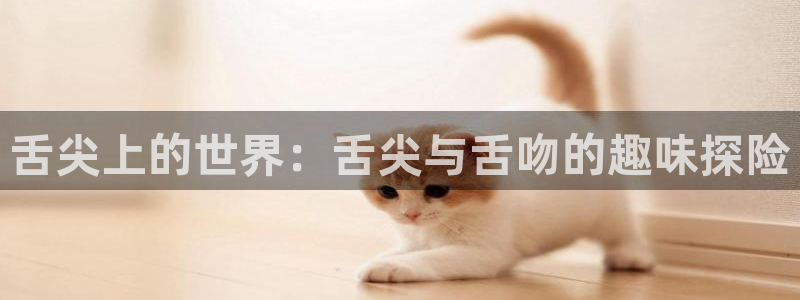 火狼动漫网页版：舌尖上的世界：舌尖与舌吻的趣味探险